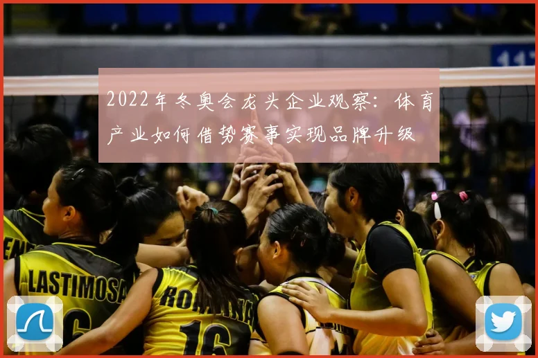 2022年冬奥会龙头企业观察:体育产业如何借势赛事实现品牌升级